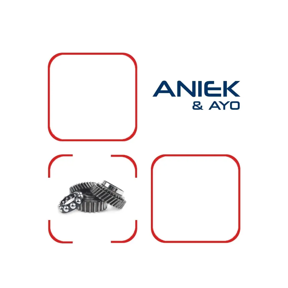 ANIEKGROUP